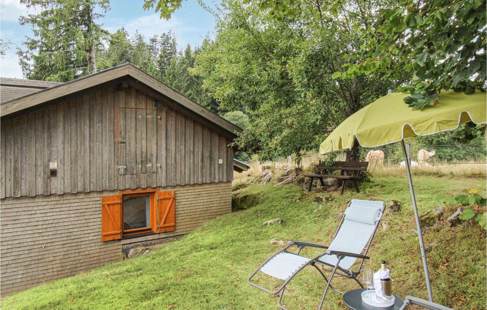 Nice home in Schonach im Schwarzwal with WiFi&2 Bedrooms Schonach im Schwarzwald Exterior foto